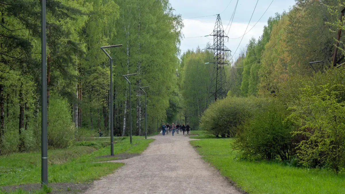 Депутаты отклонили поправки в ЗНОП, направленные на защиту парков и скверов  Петербурга — Новости Санкт-Петербурга › МР7.ру