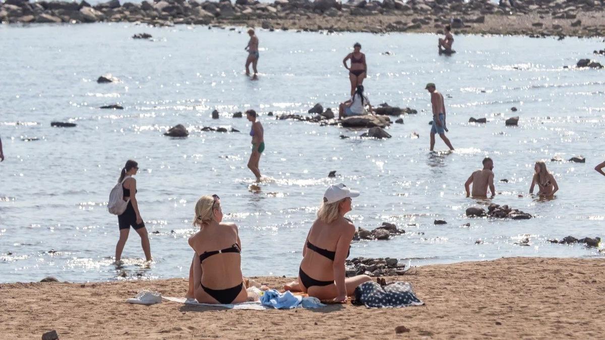 Фото: Олег Золото / MR7