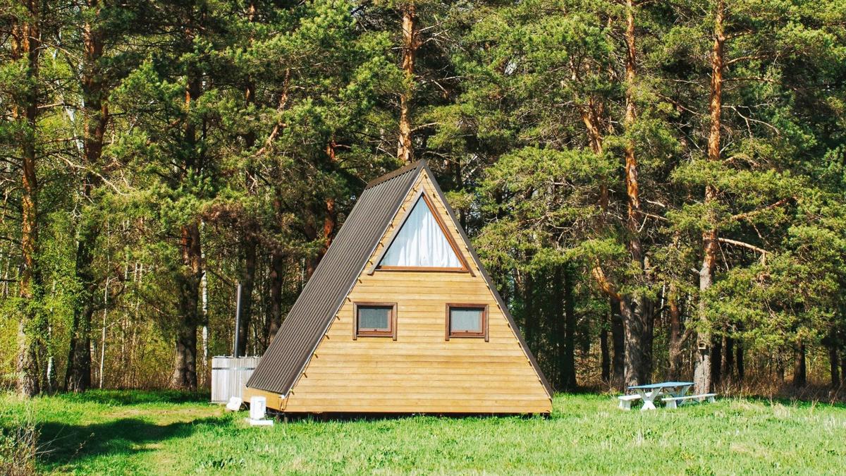 Фото: Olga Trishi / Unsplash