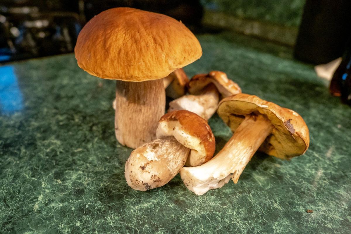 Фото: Олег Золото / MR7