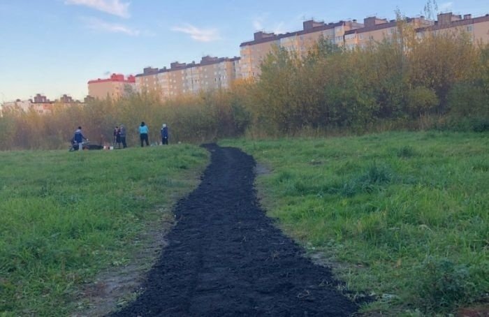 Жители Детскосельского создали парк и сейчас доделывают дорогу к нему