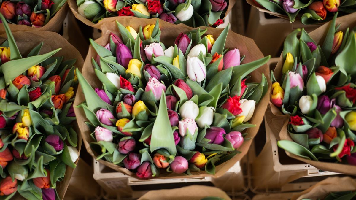 Петербуржца отправили в СИЗО по делу об ограблении цветочного магазина на Добролюбова