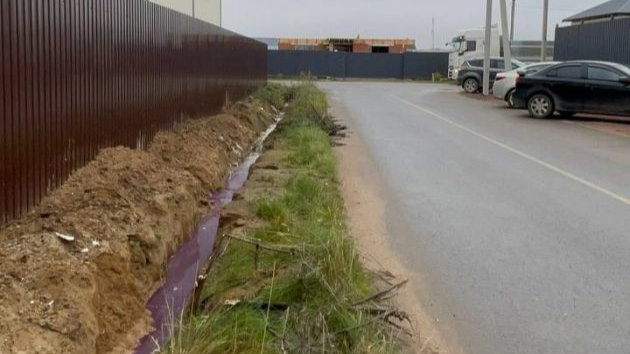 Фото: комитет госэконадзора Ленобласти