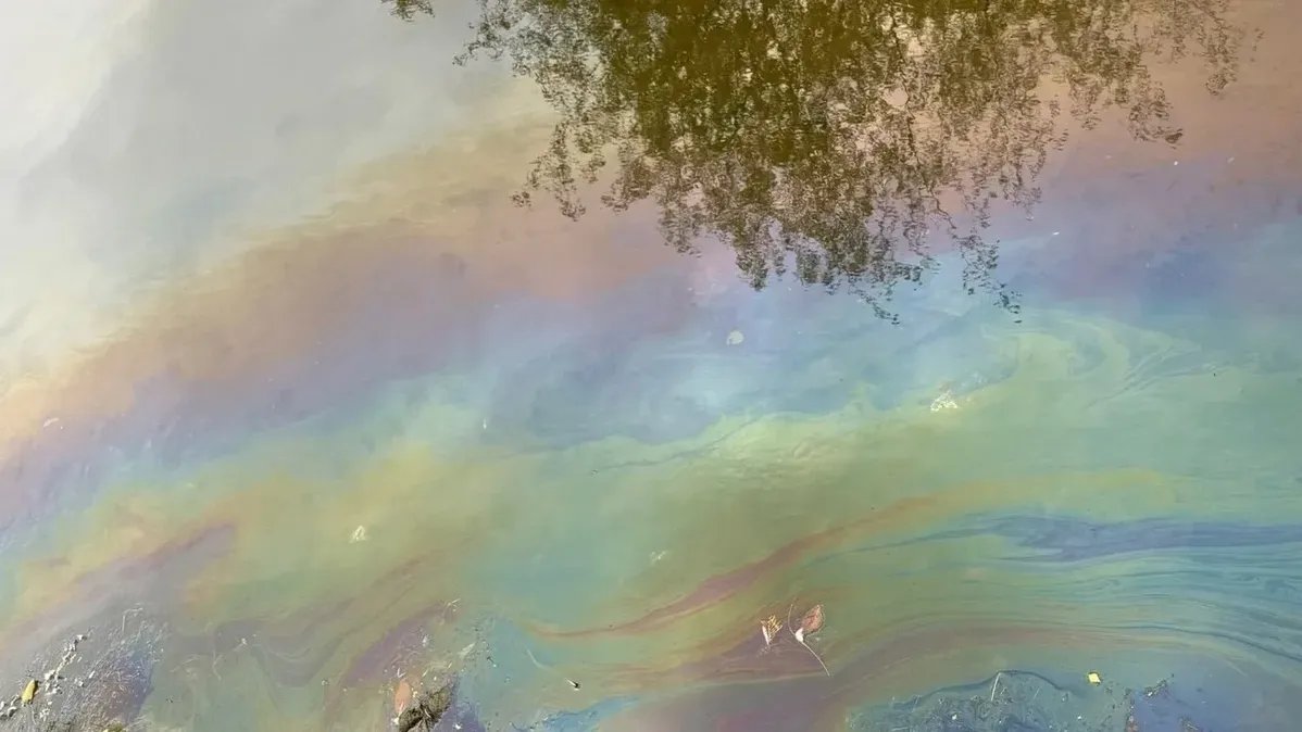 Фото: Telegram-канал Андрея Рябоконя