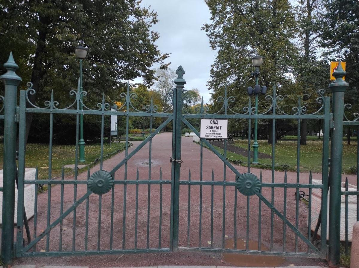 Фото: Динар Идрисов