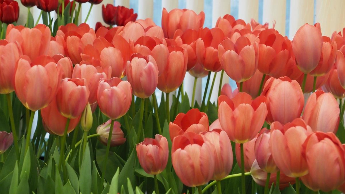 Фото: Олег Золото / MR7