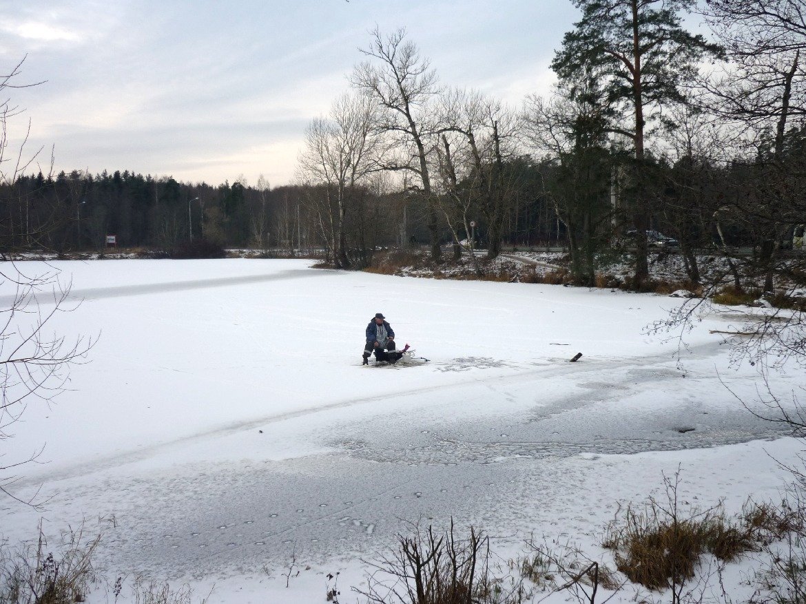 Фото: пресс-служба Смольного