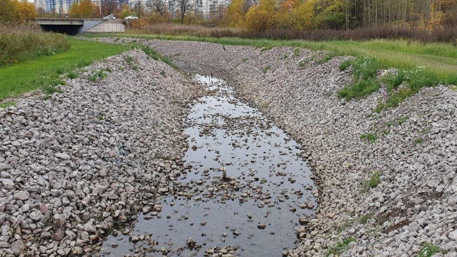 Фото: Алексей Зинчук (депутат ЗакСа СПб)