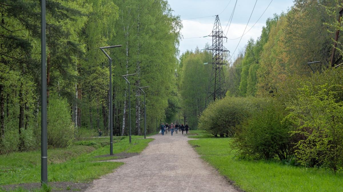 Фото: Олег Золото / МР7