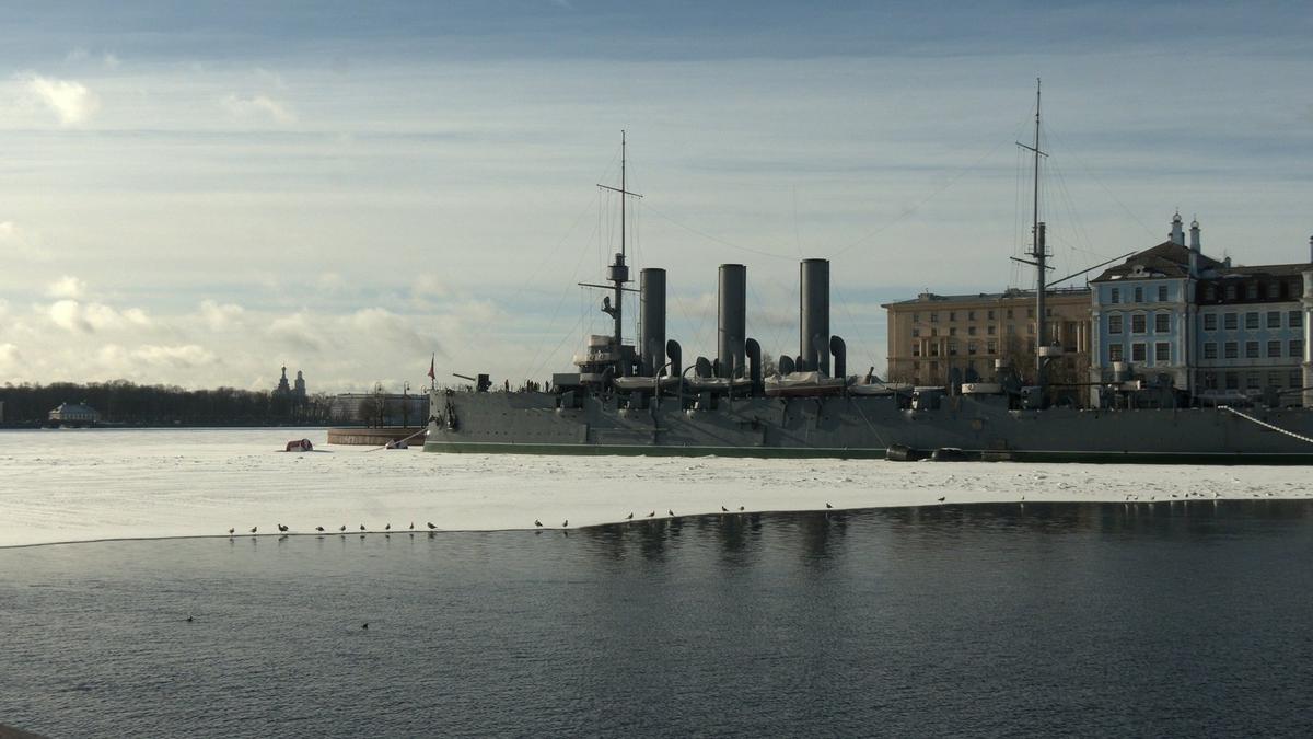 Поганки в окружении чаек у крейсера «Аврора». Фото: Павел Глазков / «Каждой твари по паре»