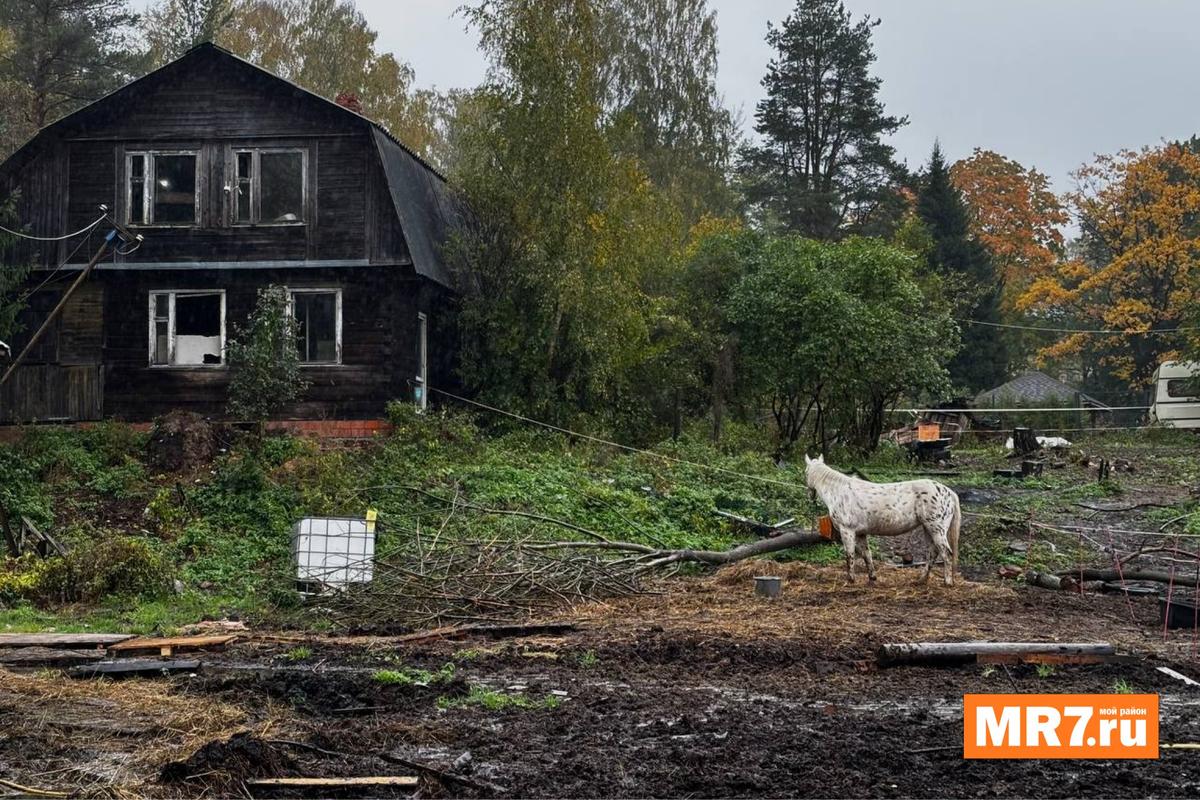 Фото: Елизавета Наливайко / MR7