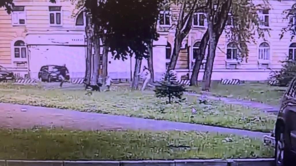 Изображение: прокуратура Петербурга