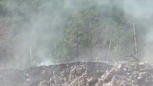 Скриншот видео: соцсети Ивана Апостолевского