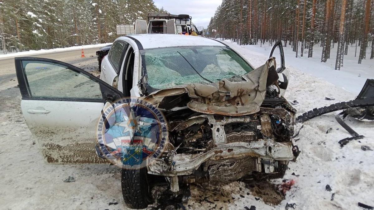 Фото: telegram-канал Аварийно-спасательной службы Ленинградской области