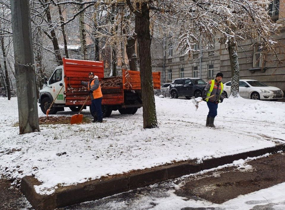 Фото: SOS внииб Chat