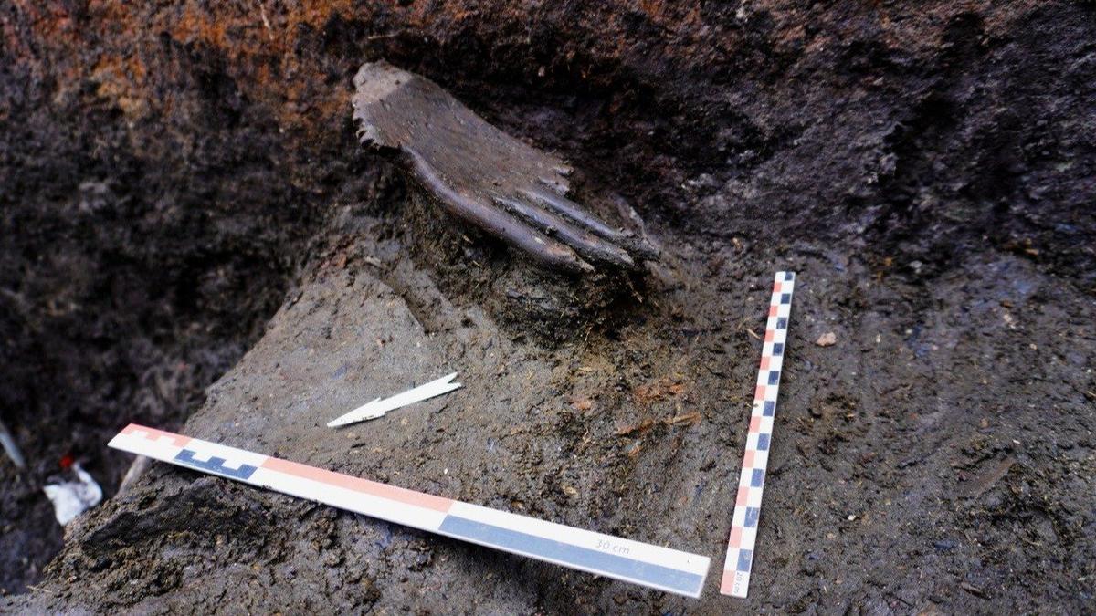 Фото: Государственный Эрмитаж