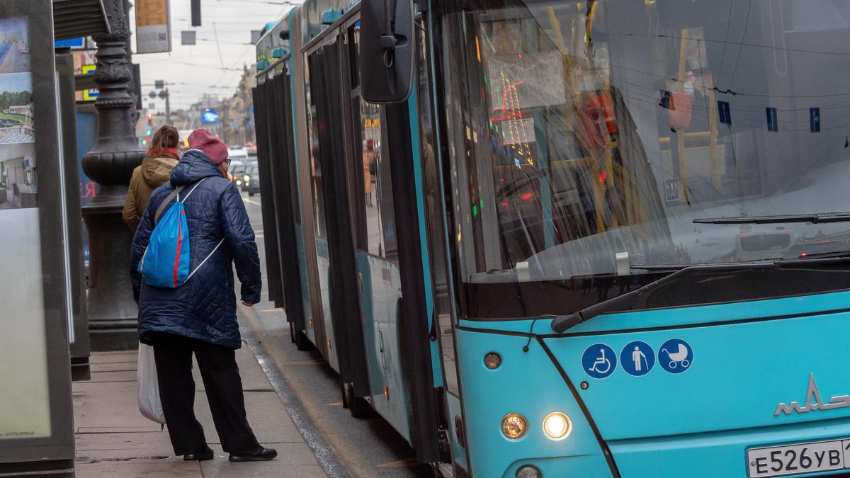 Пять автобусных маршрутов усилили в четырех районах Петербурга