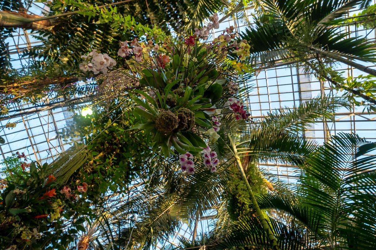 Фото: Олег Золото / MR7