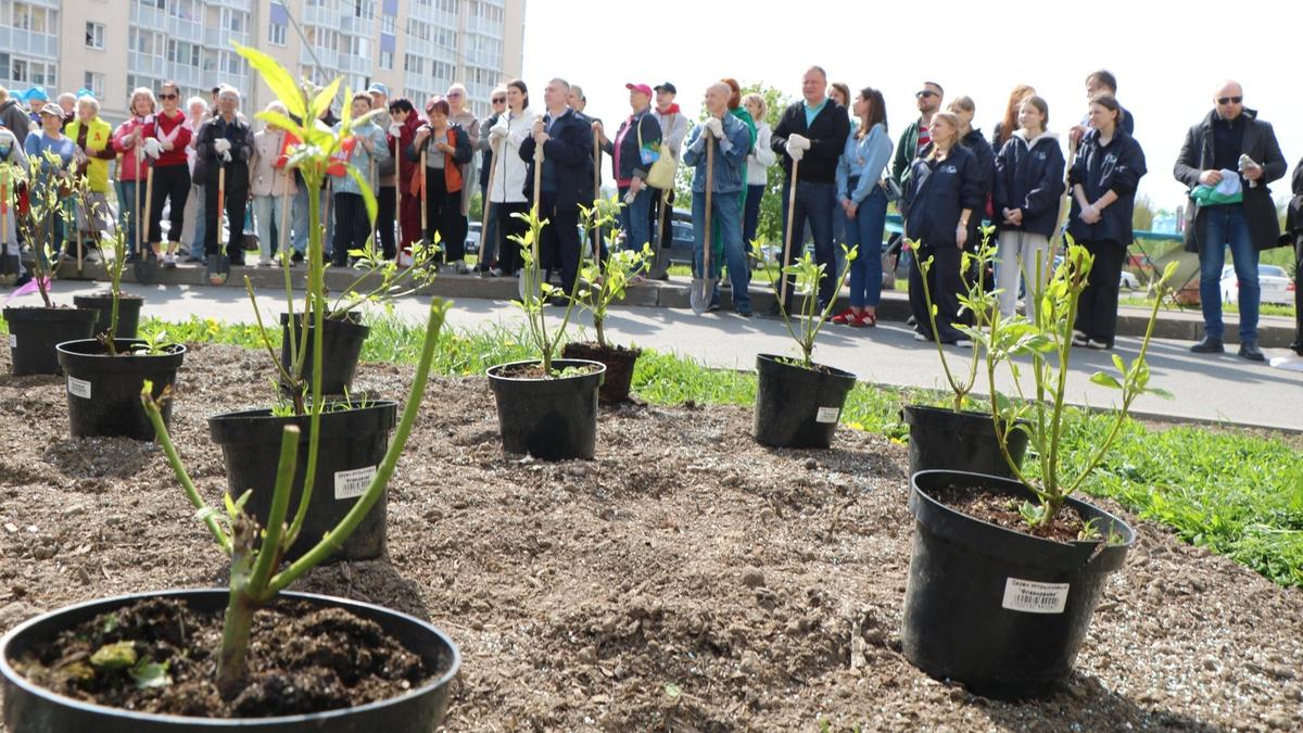 Фото: Фонд «Добрый город Петербург»