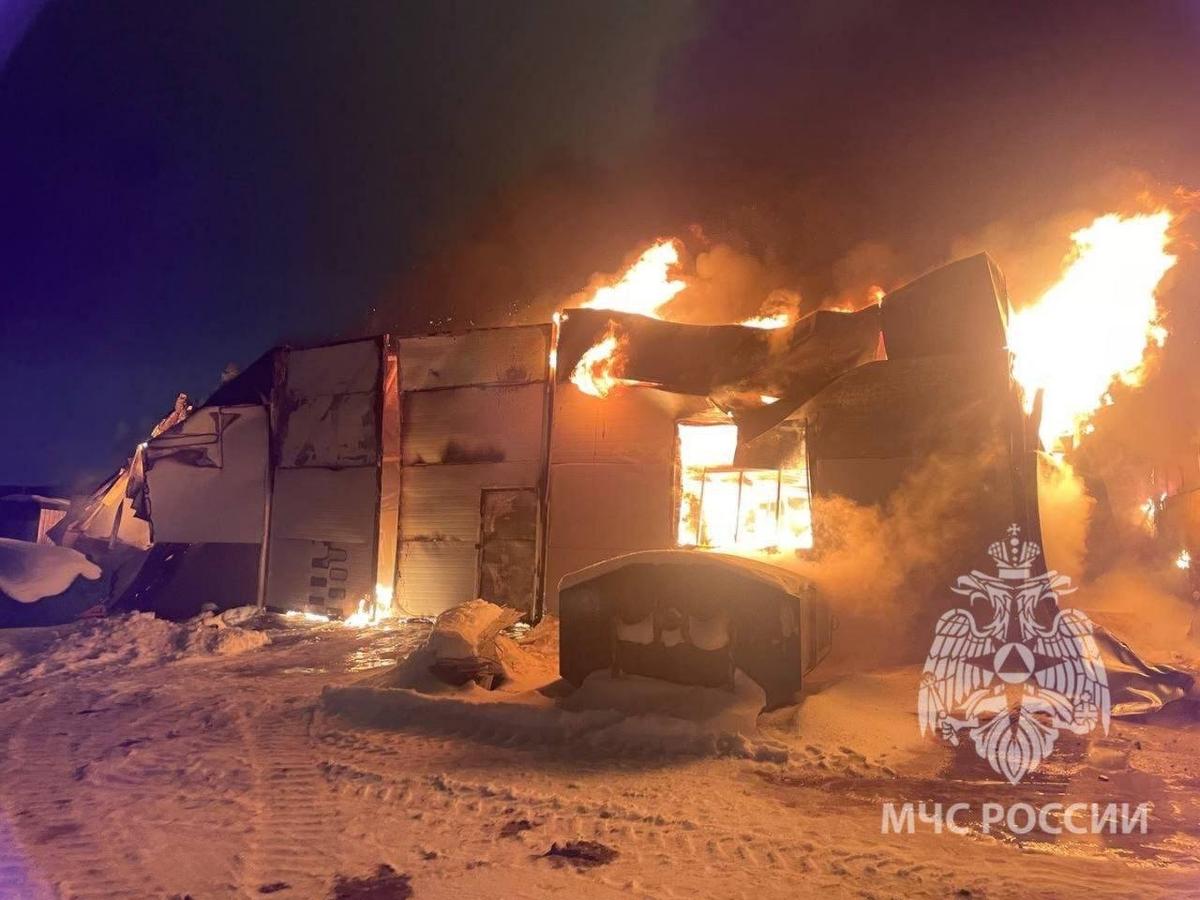 Фото: МЧС Ленобласти