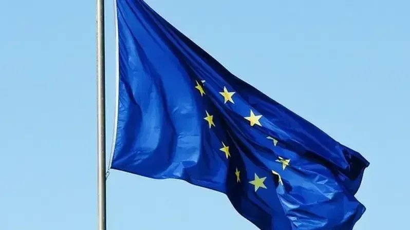 От картины Брюллова до акции Крисевича*. ЕСПЧ отклонил 879 жалоб, среди которых десятки исков из Петербурга