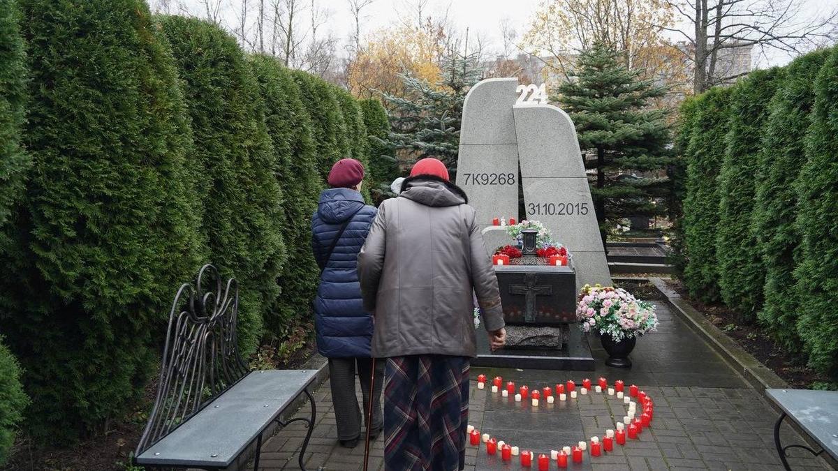 Фото: Павел Борисенко / МР7
