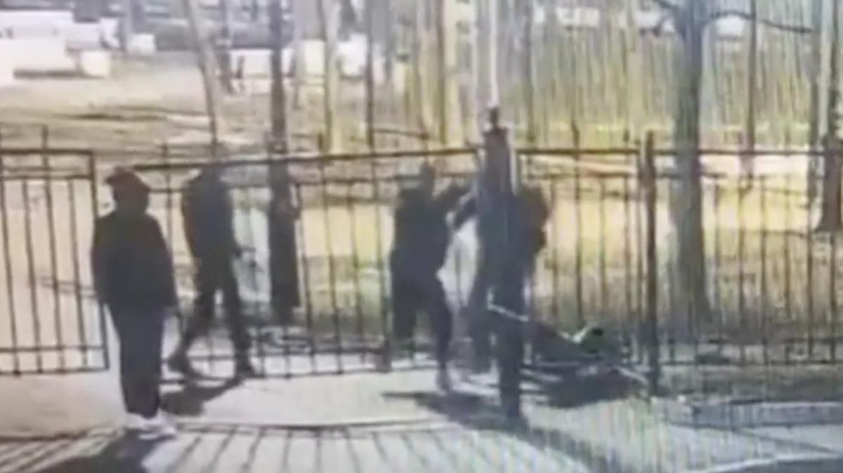 Фото: пресс-служба ГУ МВД по Петербургу и Ленинградской области