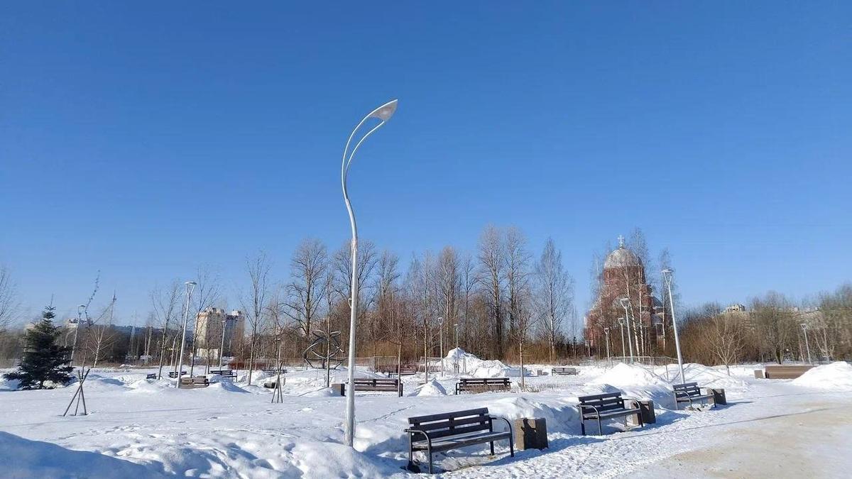 В Муринском парке до конца 2024 года установят освещение