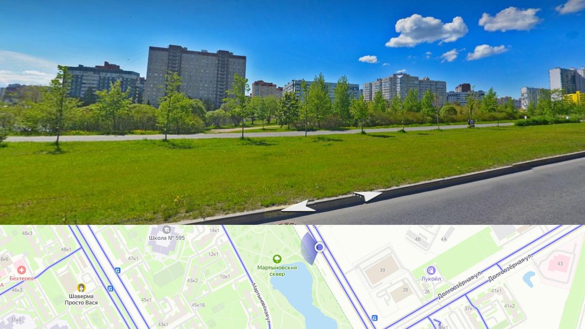 Жители Приморского района выступили против диск-гольф-маршрута в Мартыновском сквере