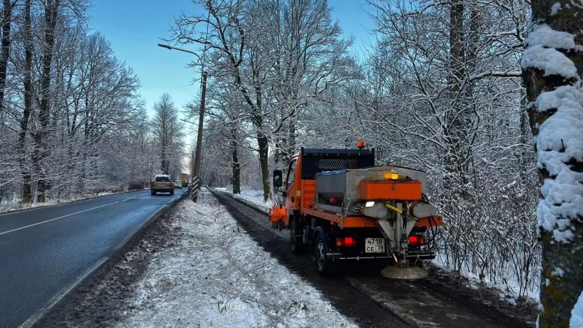 Фото: комитет по благоустройству