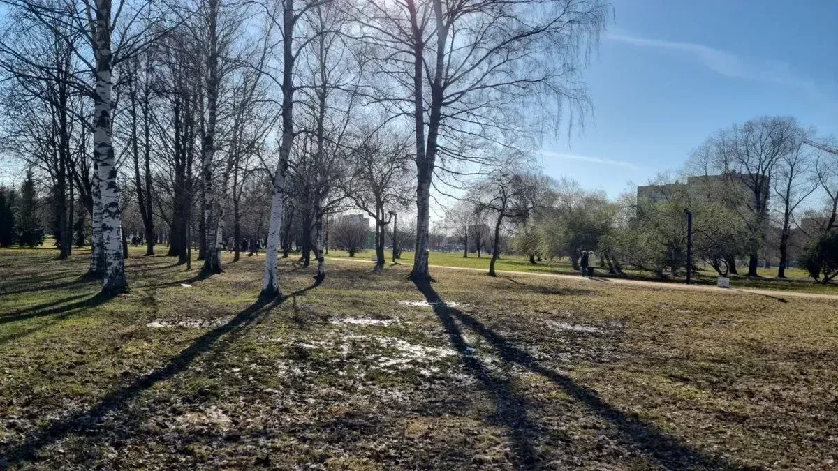 Парк имени Сахарова. Фото: предоставлено местной жительницей