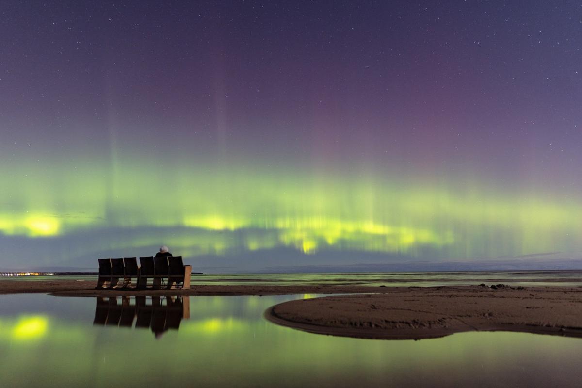 Фото: Катя Стрельникова / АстроФотоБолото