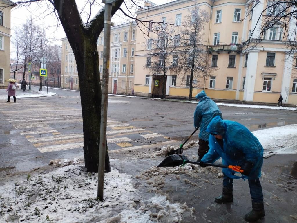 Фото: пресс-служба комитета по благоустройству