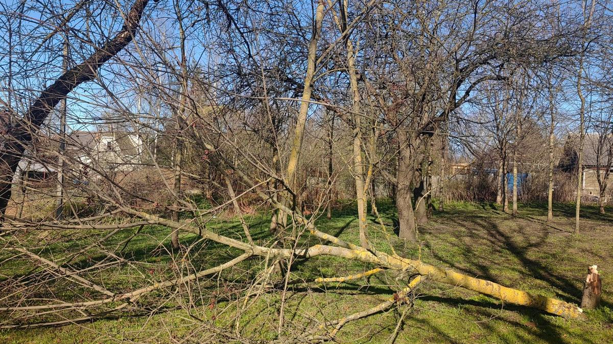 Фото: комитет по благоустройству