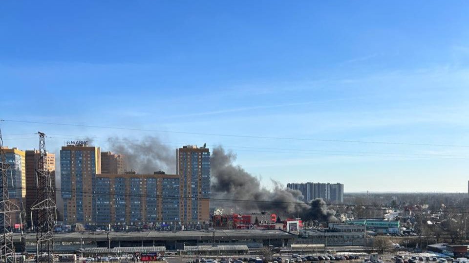 Фото: «Девяткино онлайн | Мурино»