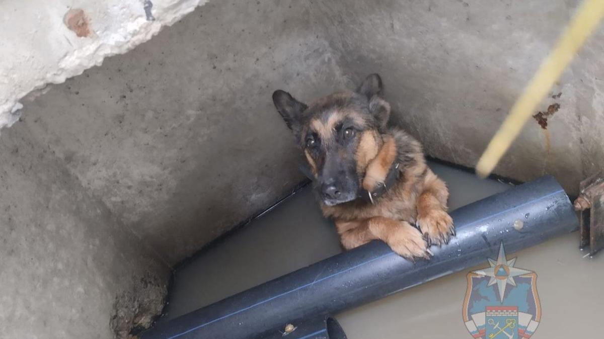 Фото: аварийно-спасательная служба Ленобласти