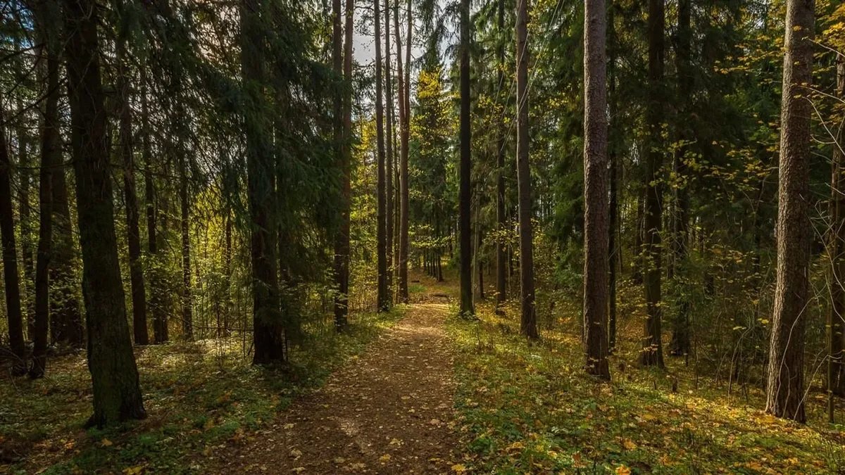 Фото: комитет по природным ресурсам Ленобласти