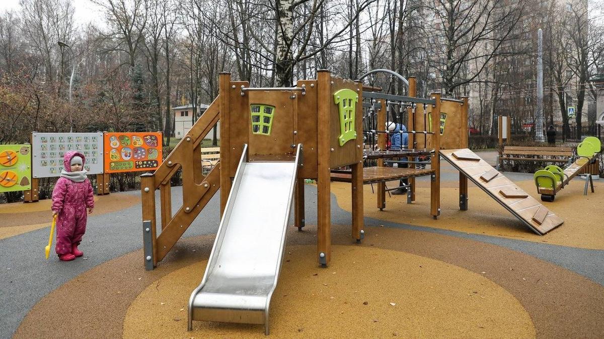 В Петербурге возобновили проект «Твой бюджет»