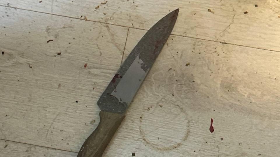 Фото: Следственный комитет Ленобласти