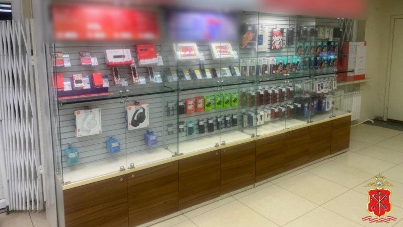 Фото: ГУ МВД по Петербургу и Ленобласти