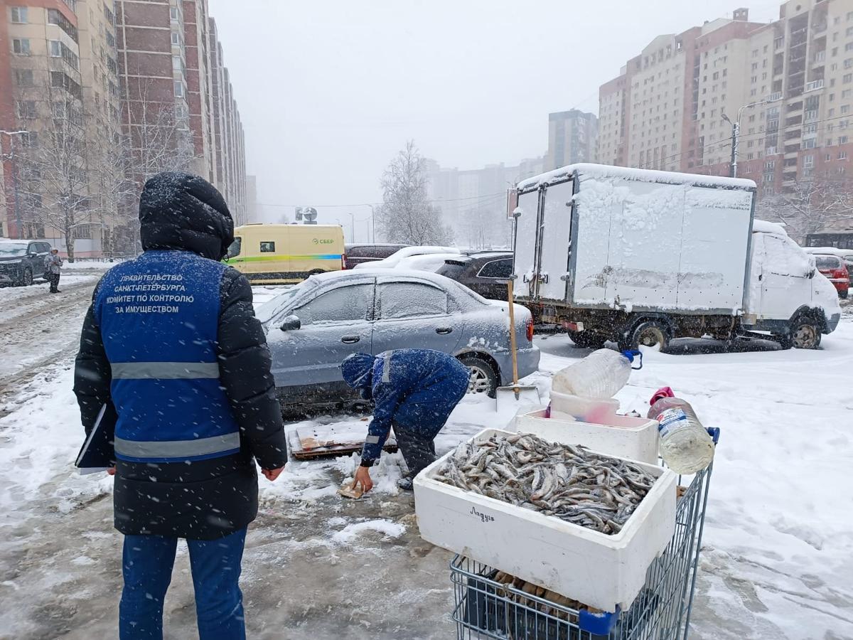 Фото: пресс-служба комитета по контролю за имуществом Петербурга