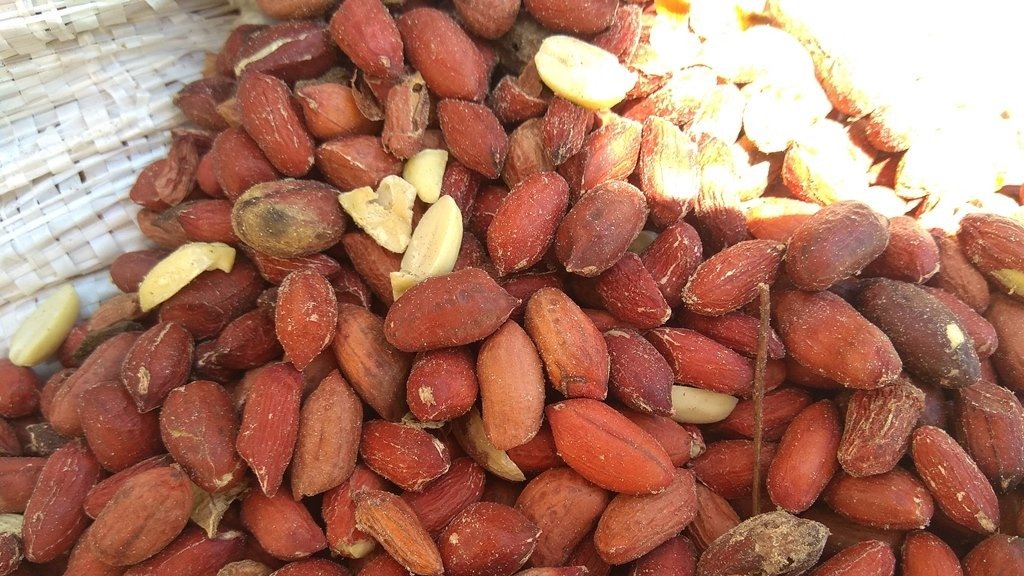 Фото: Россельхознадзор по СЗФО