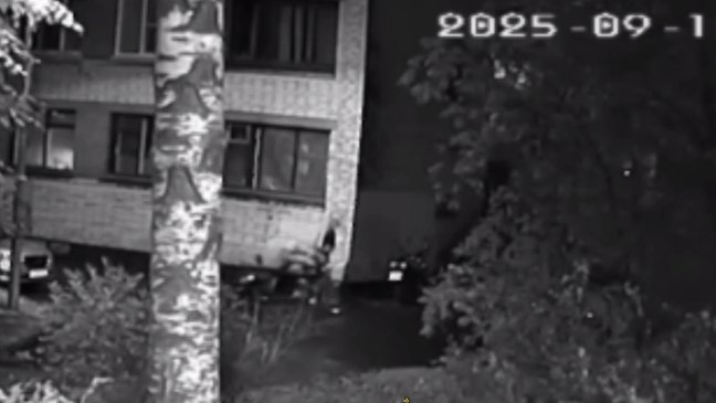 Скриншот видео: Прокуратура Петербурга