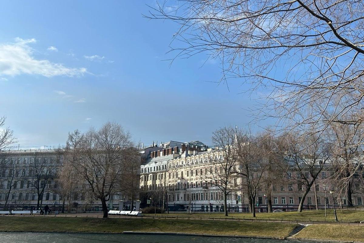 Фото: Дарья Дмитриева / МР7