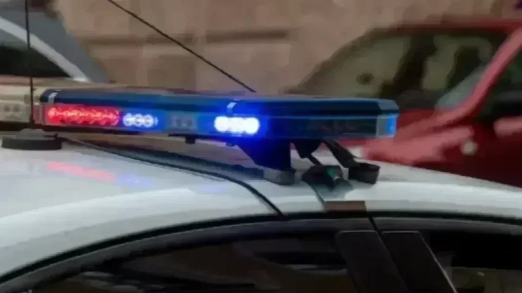 Фото: Олег Золото / MR7