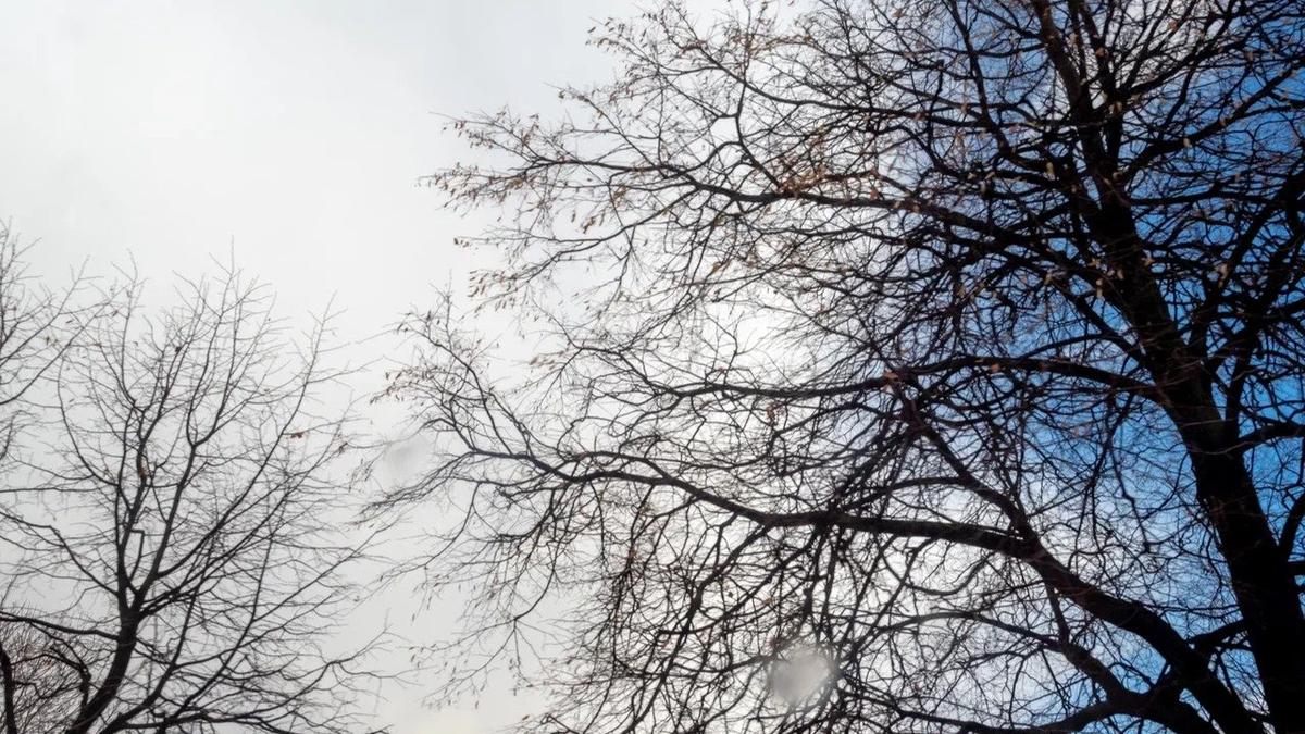 Фото: Олег Золото / MR7