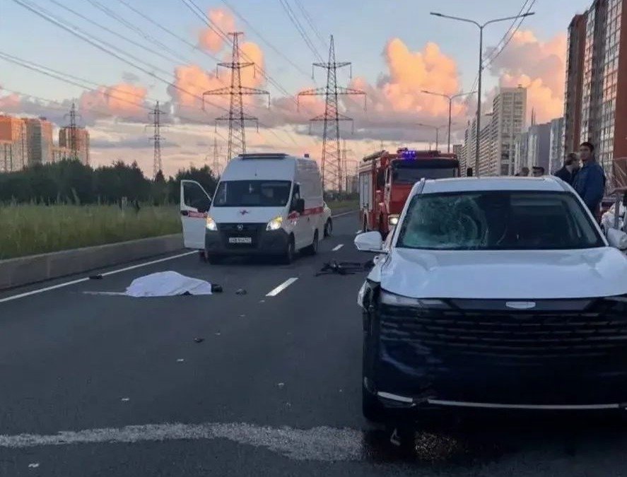 Фото: комитет правопорядка и безопасности Ленобласти