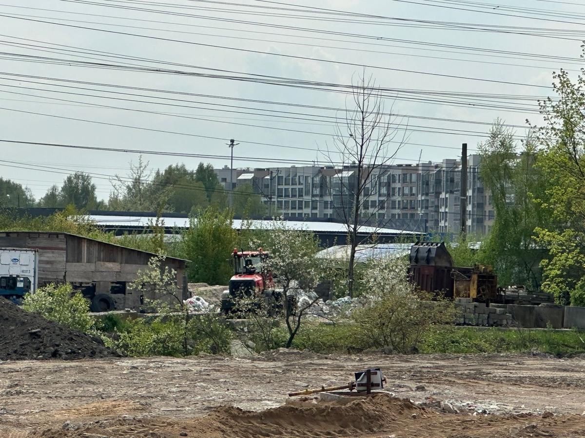 Вместо совхоза. Фото: из архива штаба депутата Новикова