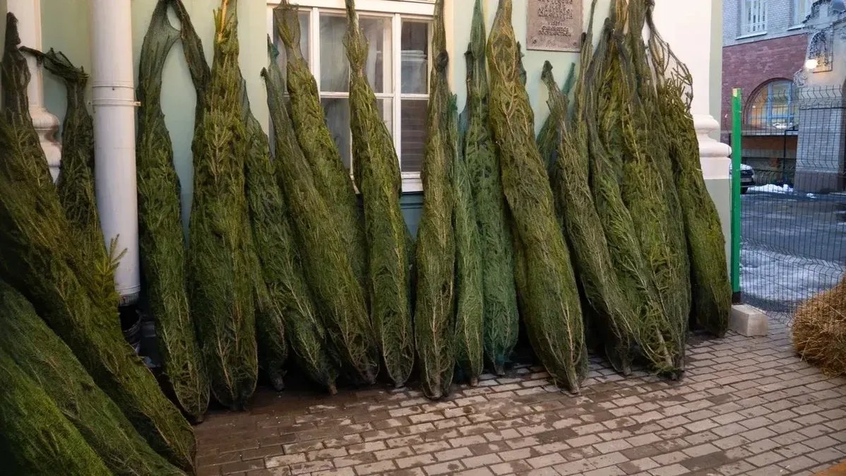 Фото: Дмитрий Абрамов / MR7