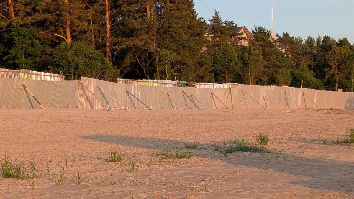 Фото: «Зелёный Курортный»